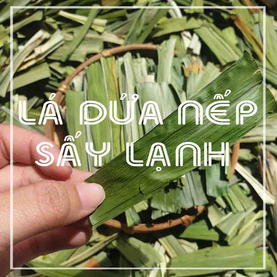 100g LÁ DỨA NẾP (DỨA THƠM) sấy lạnh khô sạch - congtyduoclieuhonglan