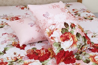 VỎ ÁO GỐI kt nhung 40x60 ( màu ngẫu nhiên )