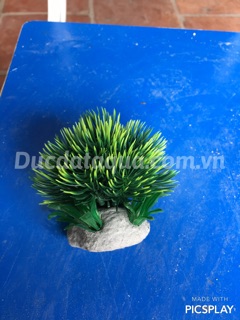 Cây hoa cỏ nhựa cao cấp