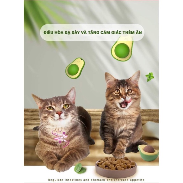 Cỏ mèo gắn tường hình quả bơ🥑Catnip gắn tường xoay 360 độ cực xinh cho mèo☘️