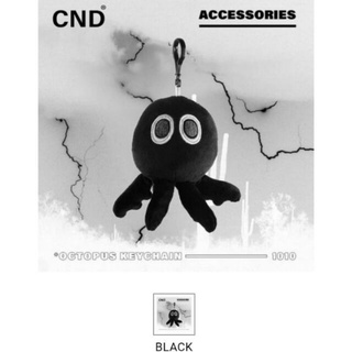 Bạch tuột cnd
