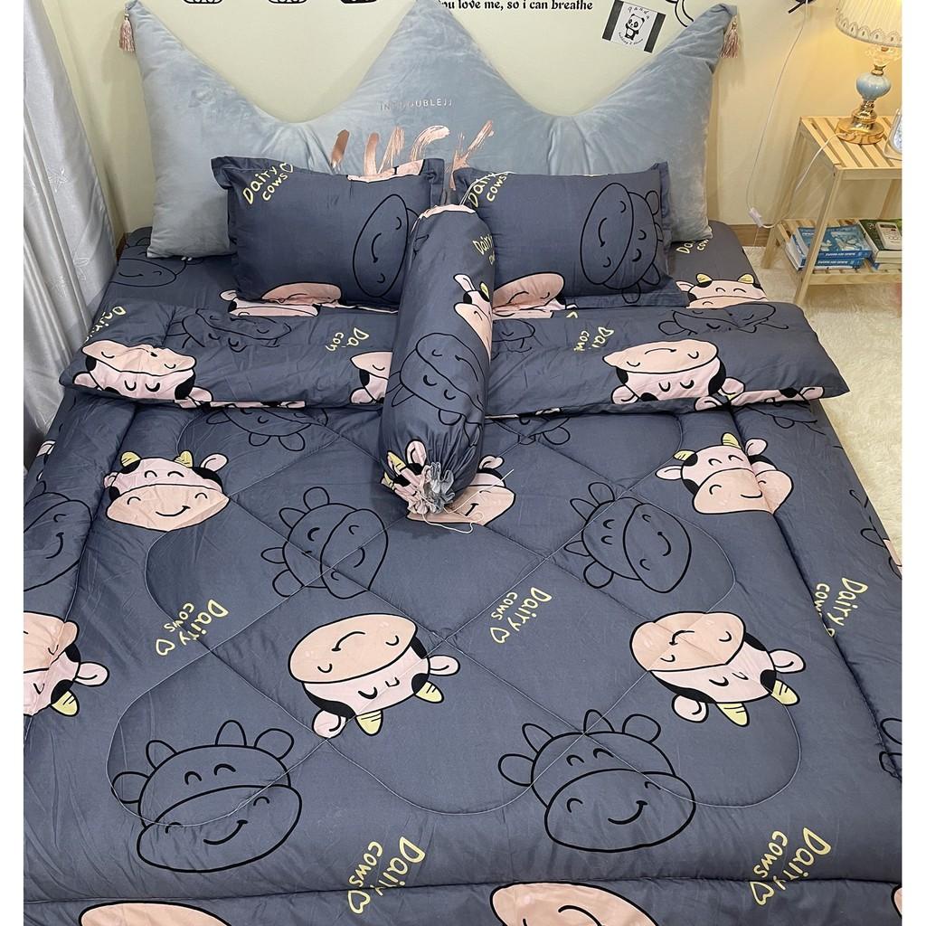 Chăn Phao Siêu Dày, Chăn Poly Cotton Họa Tiết Hoạt Hình Đáng Yêu