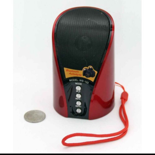 Loa Bluetooth di động Ws 133