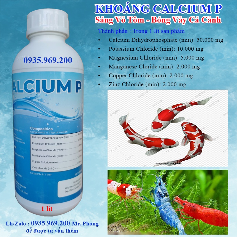 Khoáng ăn bổ sung Calcium P , ăn sáng vỏ tôm - bóng vảy cá cảnh # Calcium P chai 1lít