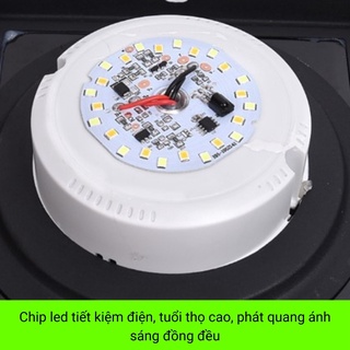 Đèn năng lượng mặt trời sân vườn SHOPNHATPHONG đèn trang trí trụ cổng 250mm,300,400mm có điều khiển,3 chế độ màu