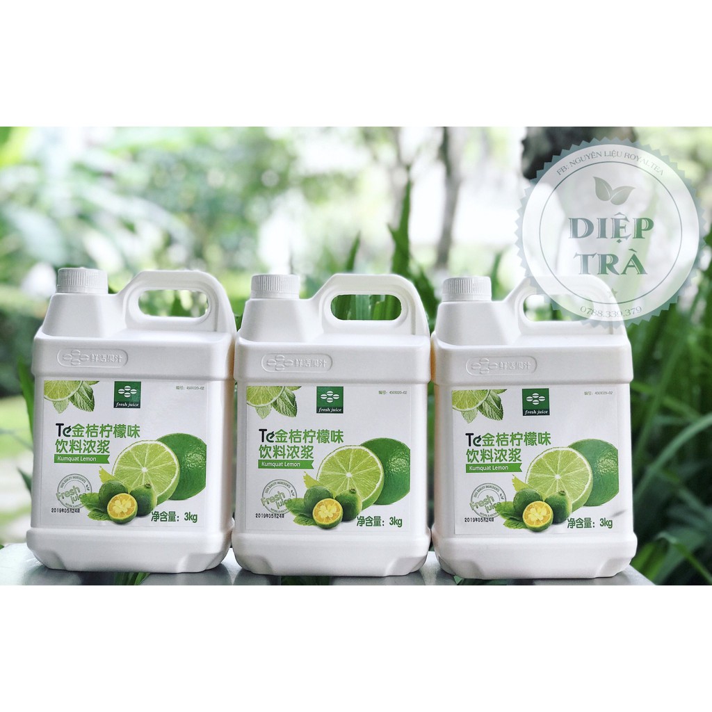 Siro TE 3kg vị: Dưa Lưới, Bạc Hà, Xoài, Dâu, Đào, Vải, Việt Quất, Dưa Hấu, Mật Ong, Chanh Leo, Chanh Xanh, Chanh Quất