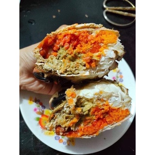 CUA NÂU NAUY SIÊU GẠCH (1KG)