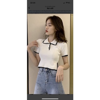 Áo croptop cổ bẻ phối viền nút