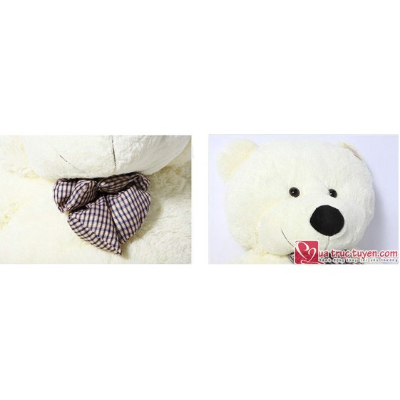 Gấu bông 1m8 khổng lồ Teddy Boyds