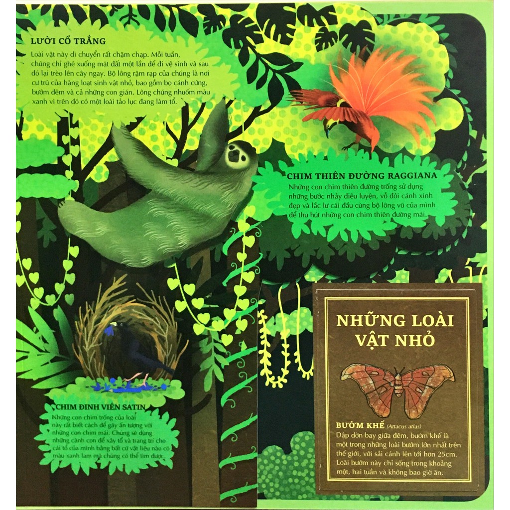 Sách - Atlas Đa Tương Tác Về Động Vật Hoang Dã - Wilderness: An Interactive Atlas Of Animals