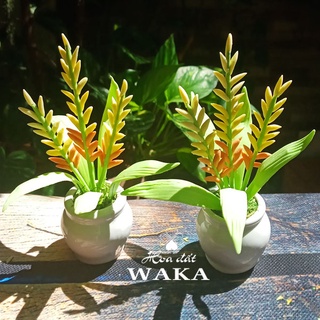 Hoa Đất Sét Mini-Cây Lúa 10cm