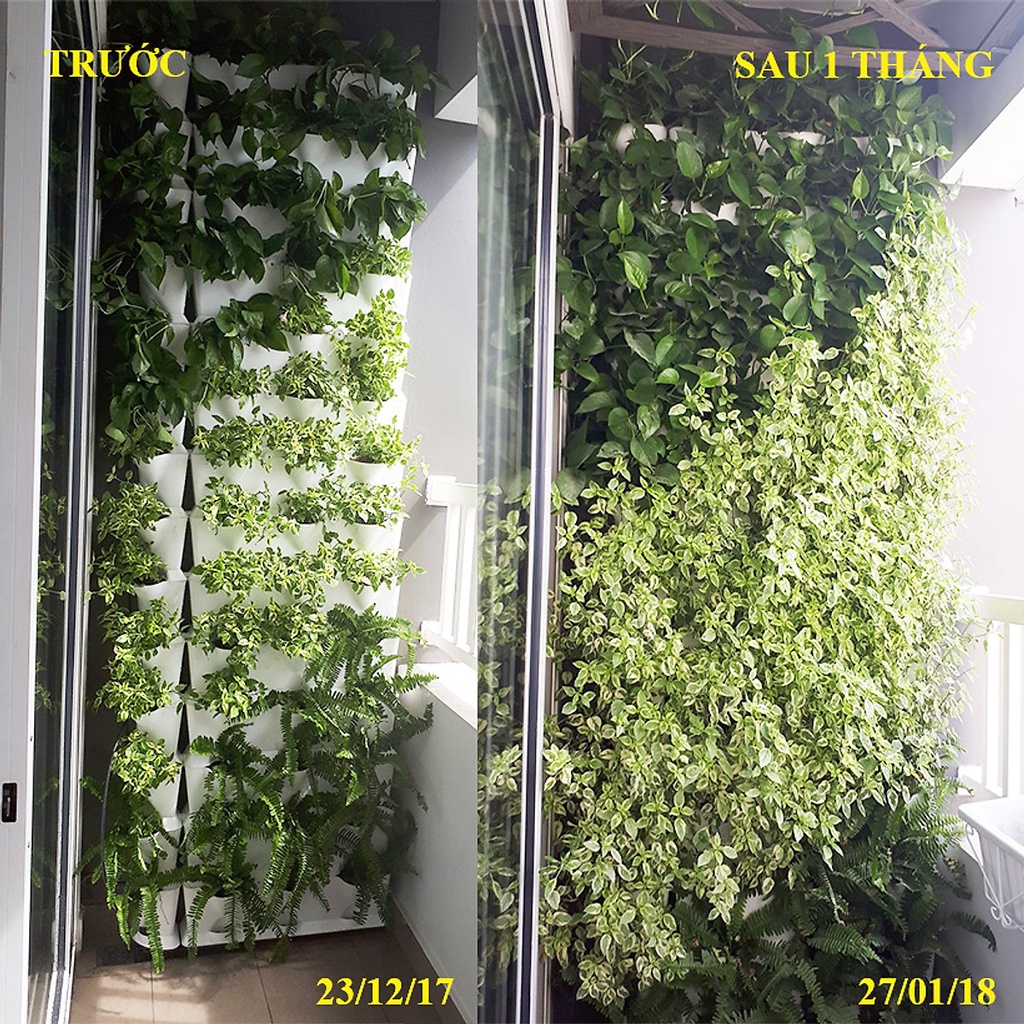 1m2 Module Trồng Cây Đứng Chung Cư Minigarden Vetical (8 Module) kèm Hệ Thống Tưới Nhỏ Giọt bán tự động