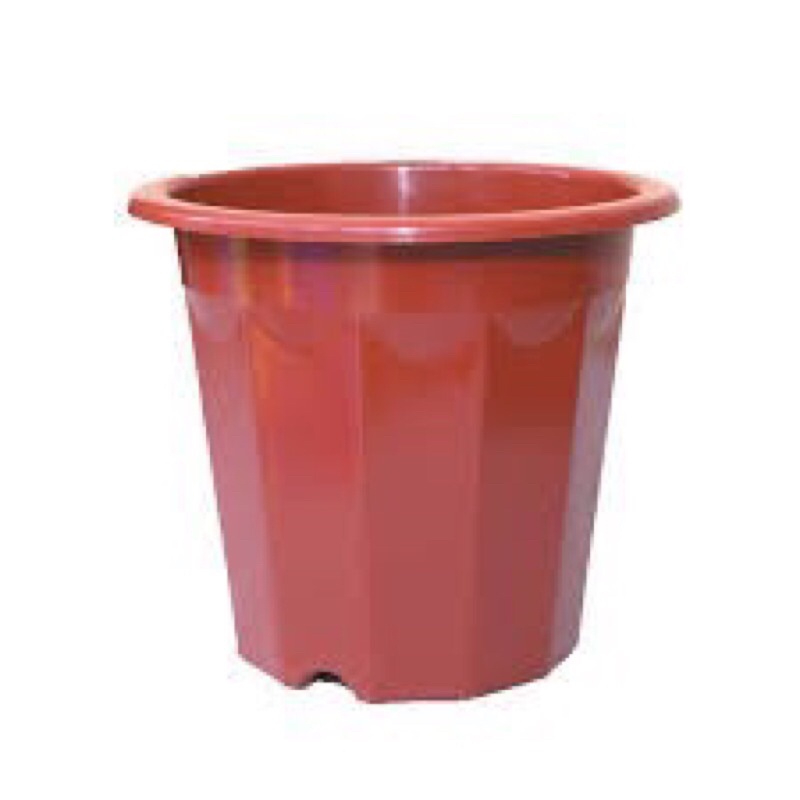 20 chậu ươm e250(19x15cm)