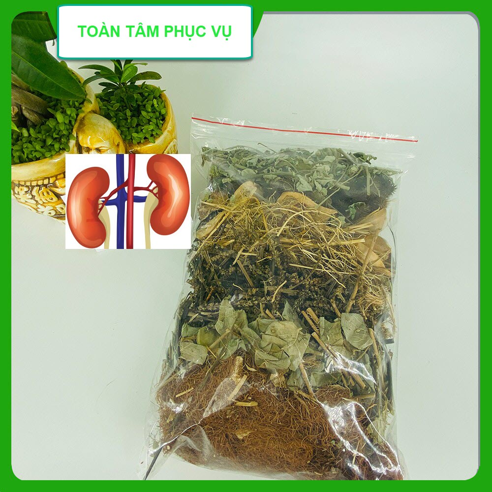 Combo Thảo Nam Hết Ngay Tiểu Rắt, Tiểu Buốt, Sỏi Thận, Sỏi Tiết Niệu