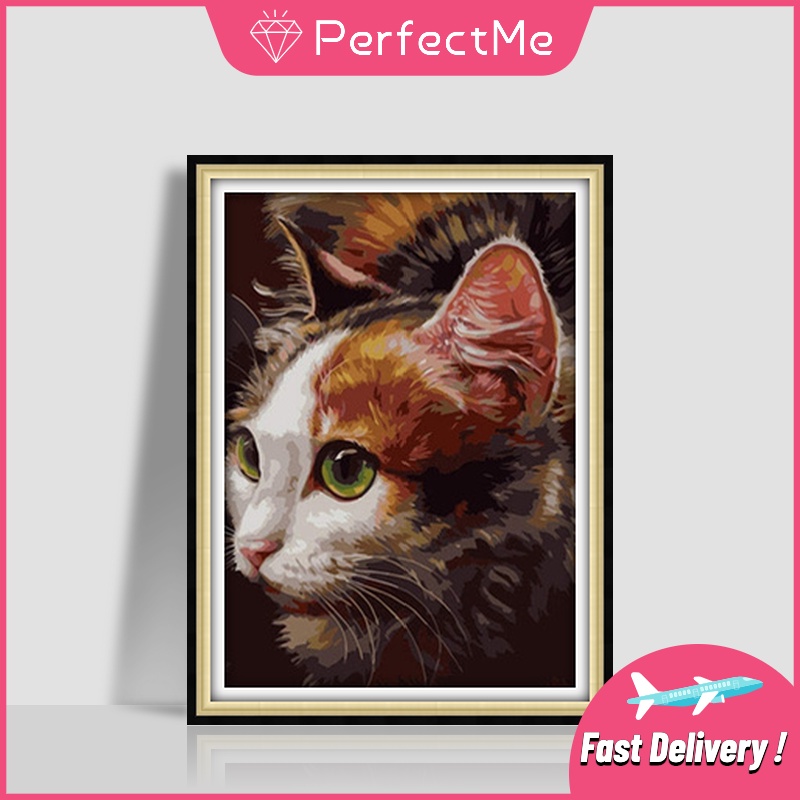 Bộ tranh đính đá 5D họa tiết chú mèo dễ thương độc đáo kích thước 30×40cm dùng trang trí