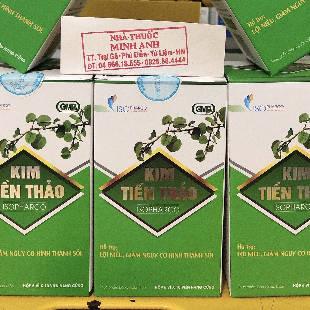 KIM TIÊN THẢO ISO