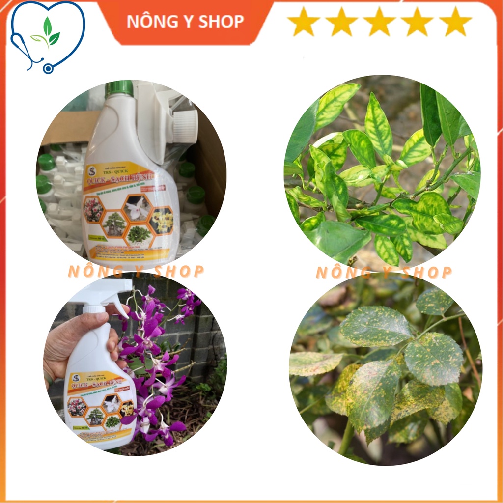 Chế phẩm sinh học dạng Xịt Trực Tiếp Diệt: Phòng Trừ Nấm  TKS-QUICK - Thủy kim sinh - ngăn ngừa vàng lá, thối nhũn