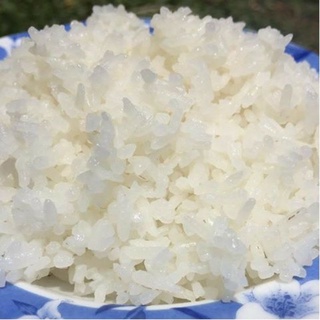 Gạo Hương Lài , Dẻo Mềm ,Thơm Cơm (Bao 5kg)