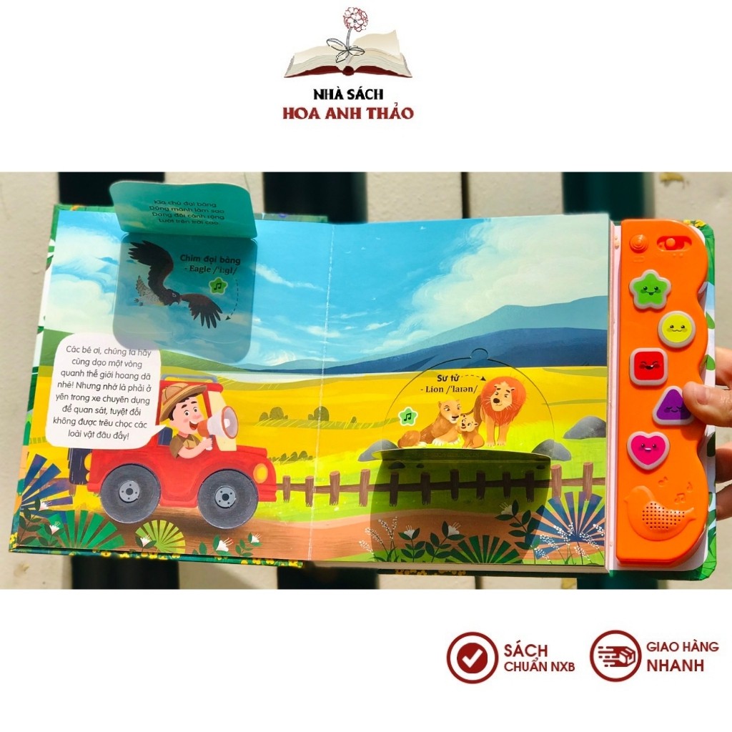 Sách âm thanh Đinh Tị - Nhiều chủ đề lẻ tùy chọn dành cho trẻ từ 0-6 tuổi