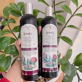 DẦU GỘI VÀ DẦU XẢ BÀ GIÀ NGA CHỐNG RỤNG TÓC - 550ML