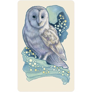 Bộ Bài Dreamscape Oracle (Guu Tarot Shop)