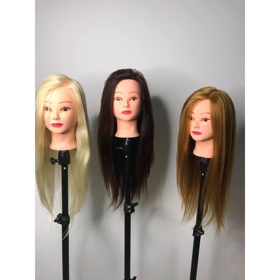 Đầu canh học cắt sấy, uốn, ép