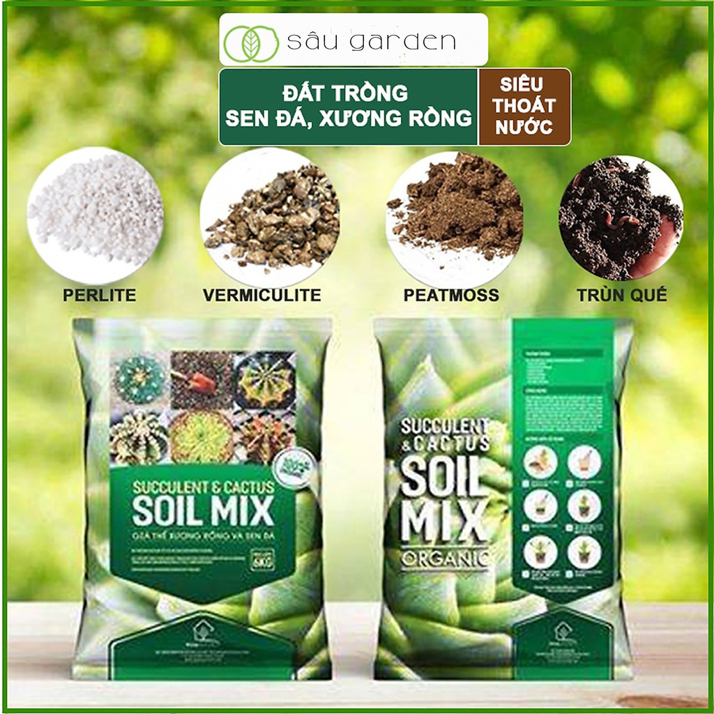 [HOT 2021] Đất Trồng Sen Đá, Đất Trồng Cây SOILMIX dành riêng cho Sen Đá, Xương Rồng, cây Văn Phòng, giúp cây phát triển