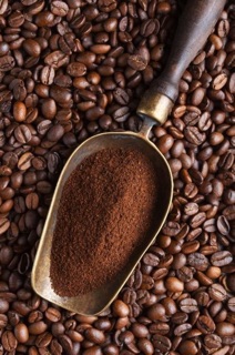 BÃ CÀ PHÊ SẤY KHÔ ĐA CHỨC NĂNG 100gr