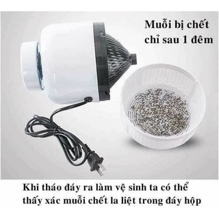 Máy bắt muỗi