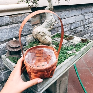 Giỏ cây mây tre Đan trồng cây và hoa