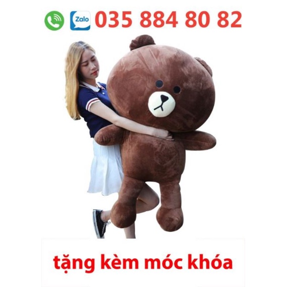 Gấu brown siêu hót khổ 1m cao 80cm