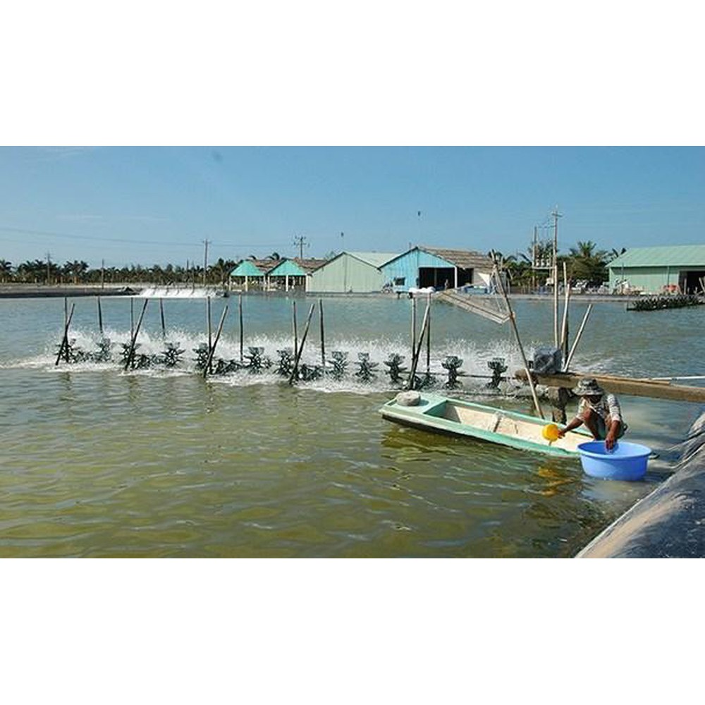 DIỆT TẢO ĐỘC- DIỆT RONG NHỚT-DIỆT NGOẠI KÝ SINH TRÙNG TRONG AO. Can 1 Lit