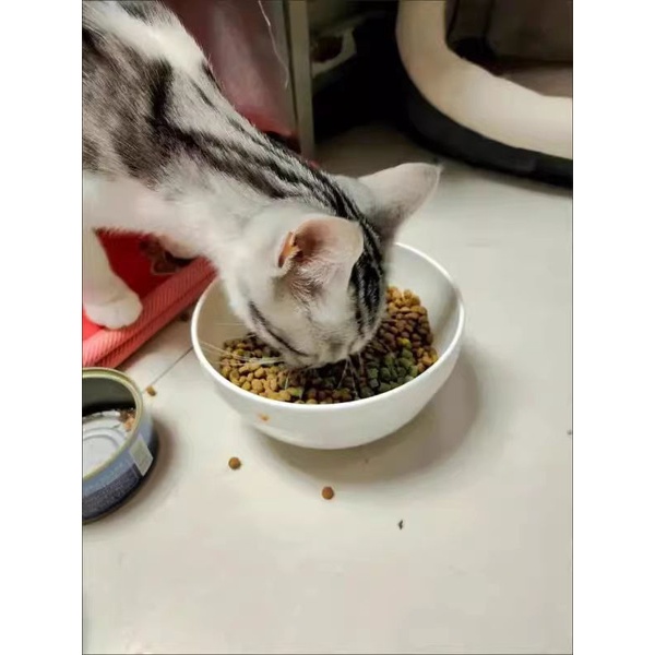 Viên Cỏ Mèo Dạng Nén Tiêu Búi Lông Cho Mèo - 100G
