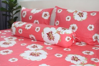 Bộ drap cotton 100%