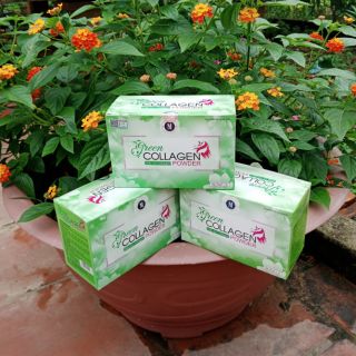 Diệp Lục Collagen