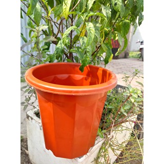 COMBO 10 CHẬU E300- 26*17*23CM