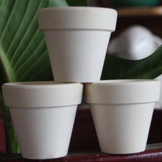 10 chậu đất nung size  6*6 Trắng và Nâu