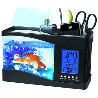 Bể Cá Mini Nhập Khẩu