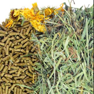 Cỏ nén viên bổ dưỡng mix cỏ timothy cho Thỏ