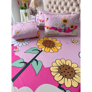 Bộ drap thun lạnh ý 5D cao cấp