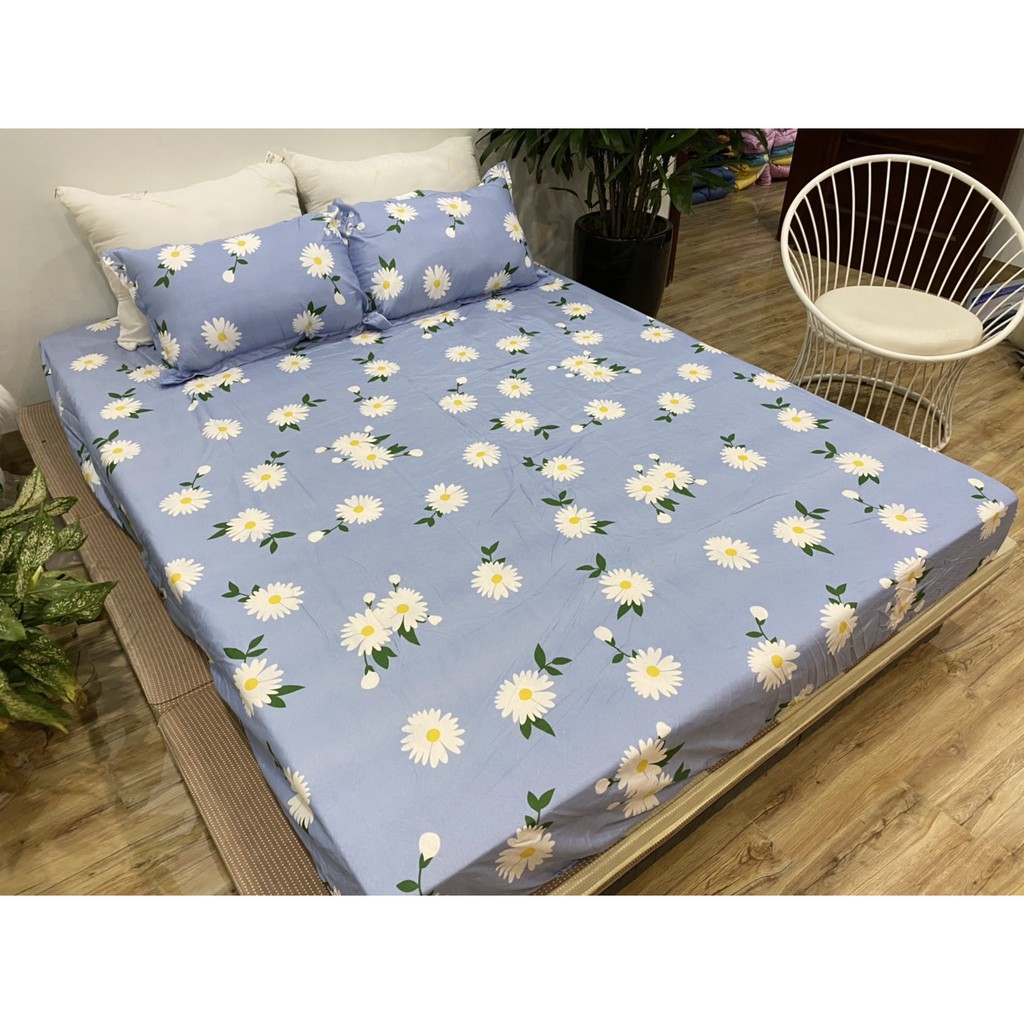 Bộ ga gối 1m6x2m cotton poly,mẫu mới hot 2020,chát chọn mẫu,cúc họa mi xanh