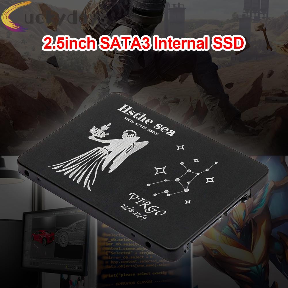 LUCKYDAYS 2.5 SATA III Internal SSD Solid State Drive Virgo Pattern for Computer PC | BigBuy360 - bigbuy360.vn