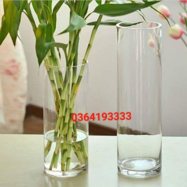 Lọ hoa thủy tinh trụ tròn decor 30cm 35cm