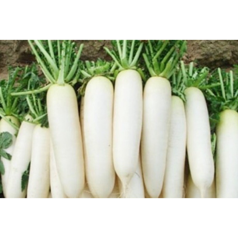 củ cải trắng 1kg