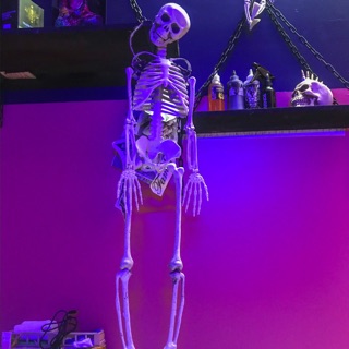 Bộ xương mô hình dài 105cm