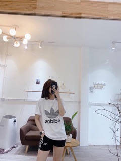 Bộ das: Qa261
