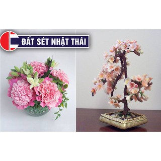ĐẤT SÉT NHẬT LÀM HOA ĐẤT SÉT BẤT TỬ PRO