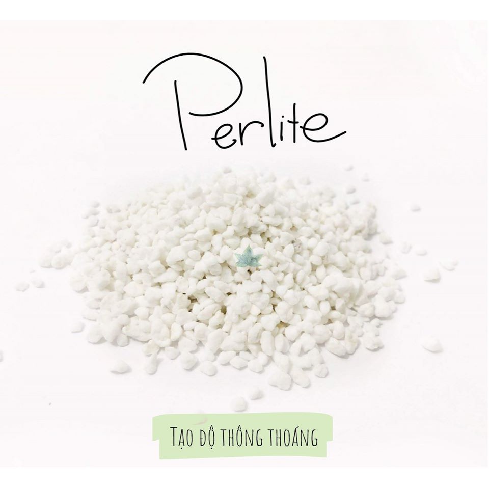 Đá Perlite (100 gram) - Sen đá, xương rồng - Giá thể thoát nước