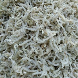 Khô cá cơm sữa thơm ngon ngất ngây