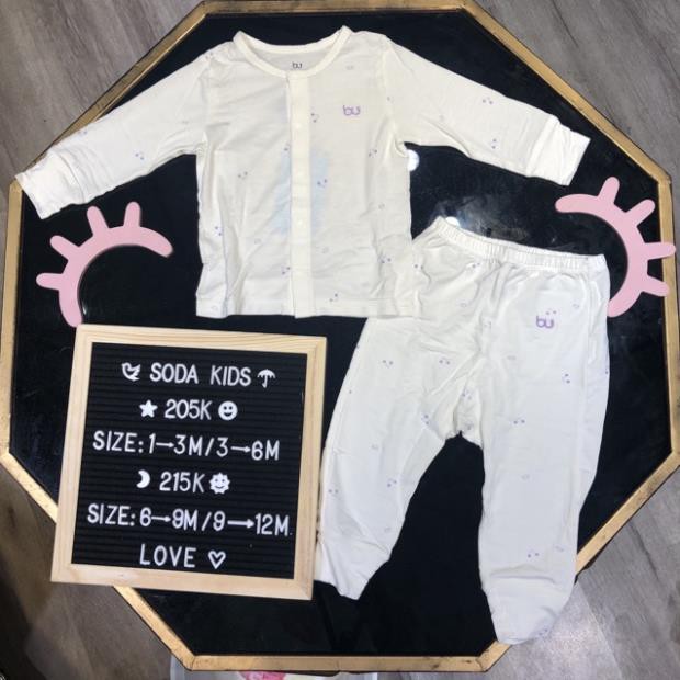 XẢ KHO BU CÀI CÚC GIỮA THU ĐÔNG 2019